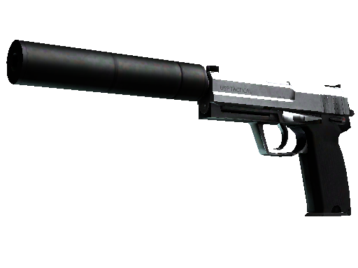 USP 消音版（StatTrak™） | 不锈钢 (破损不堪)